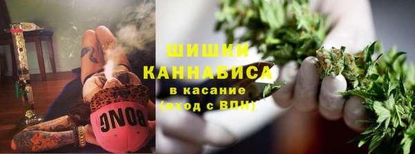 PSILOCYBIN Бронницы