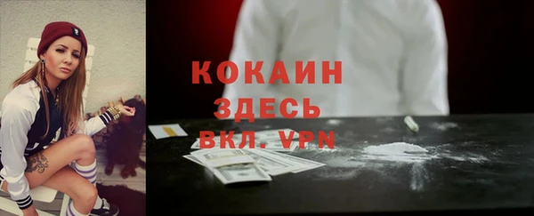 ПСИЛОЦИБИНОВЫЕ ГРИБЫ Бородино