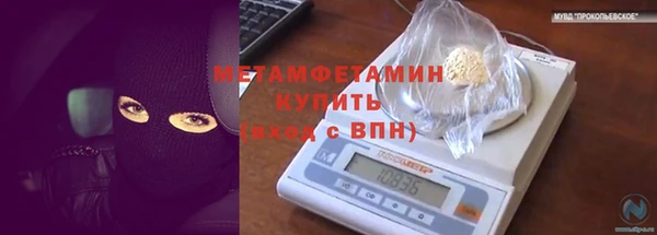 ПСИЛОЦИБИНОВЫЕ ГРИБЫ Бородино