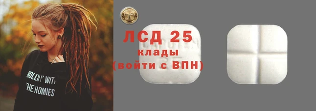 ПСИЛОЦИБИНОВЫЕ ГРИБЫ Бородино