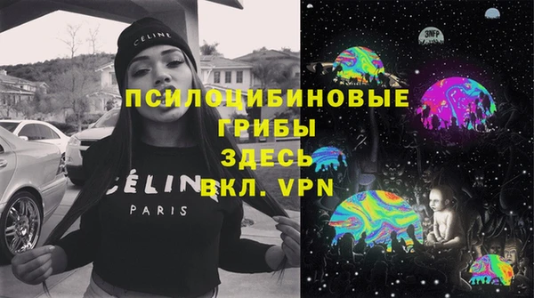 ПСИЛОЦИБИНОВЫЕ ГРИБЫ Бородино