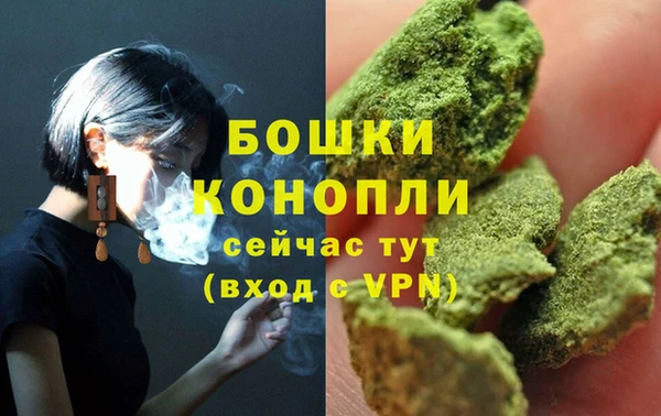PSILOCYBIN Бронницы