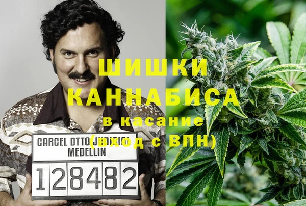 PSILOCYBIN Бронницы