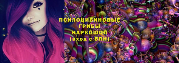 ПСИЛОЦИБИНОВЫЕ ГРИБЫ Бородино