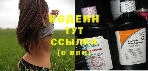 ПСИЛОЦИБИНОВЫЕ ГРИБЫ Бородино