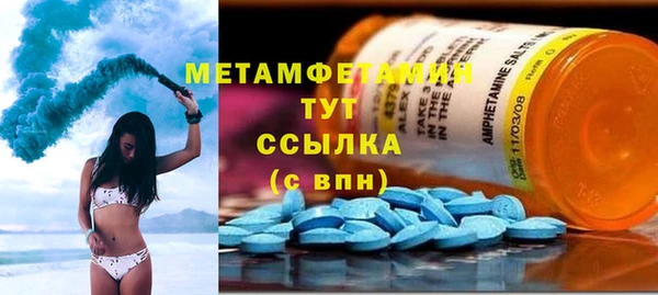 ПСИЛОЦИБИНОВЫЕ ГРИБЫ Бородино