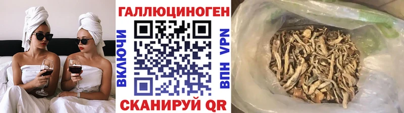 Купить где  Мантурово  Псилоцибиновые грибы Magic Shrooms 